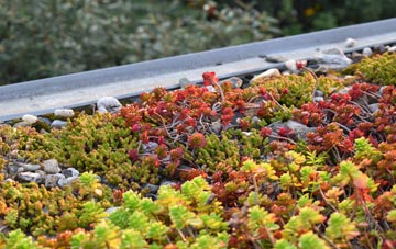 the cost of Bocombe green roof installation