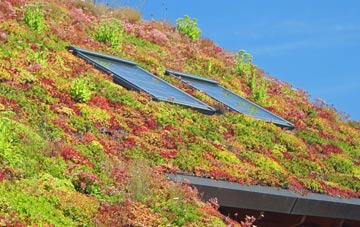 Bocombe living roof systems
