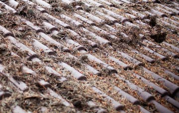 Bocombe roof cleaning companies